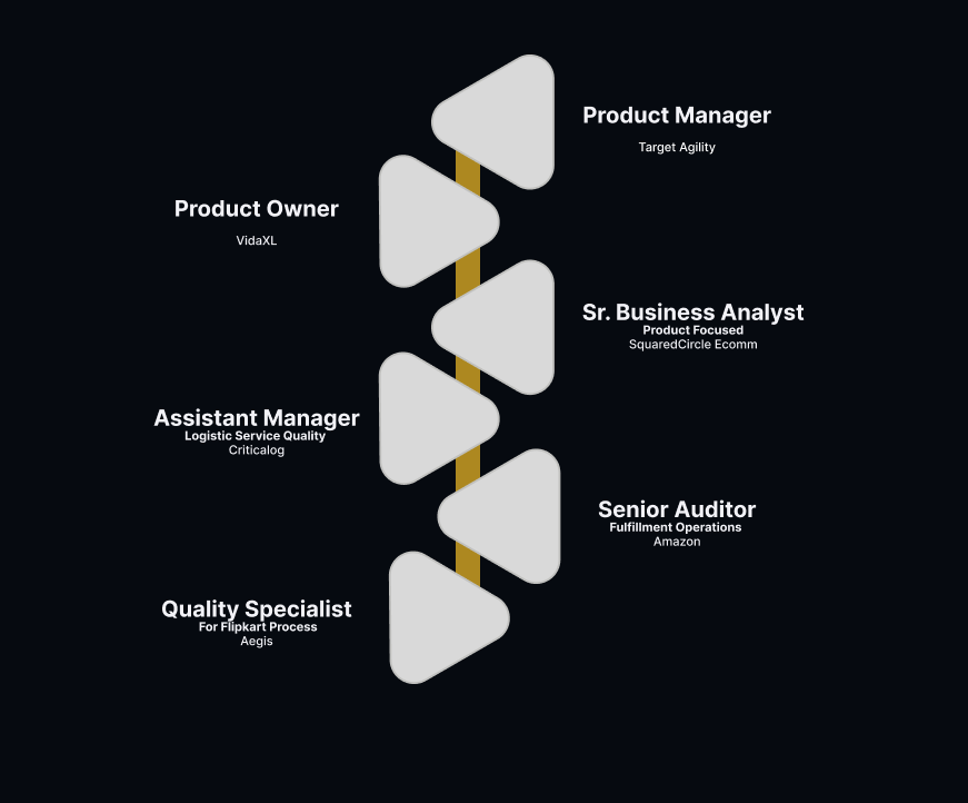 Work history timeline